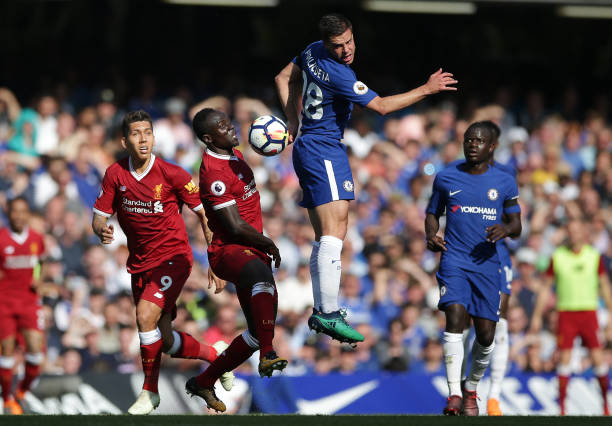 的多样性 的多样性